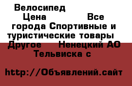 Велосипед Viva Castle › Цена ­ 14 000 - Все города Спортивные и туристические товары » Другое   . Ненецкий АО,Тельвиска с.